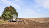 La actividad económica registró el primer mes positivo del año de la mano del campo