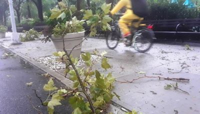 Alerta por tormenta en Nueva York: lluvia y vientos fuertes al comienzo del feriado Memorial Day - El Diario NY