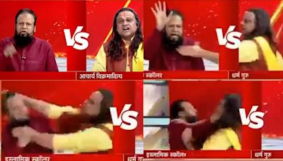 ‘Serious competition for WWF’. TV news panellists get into fisticuffs amid live debate on Zakir Naik