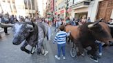 Los encierros infantiles de Ciutat Vella no tienen ahora quien los organice