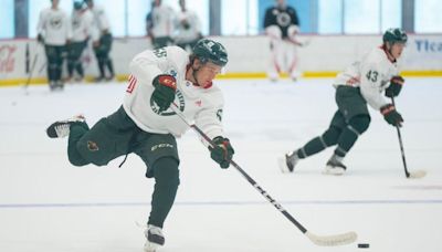 Wild prospect Heidt aims for a spot with the pros