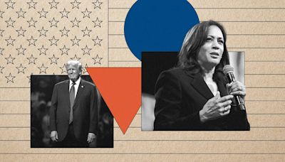 Kamala Harris just put on a master class in how to trigger Donald Trump