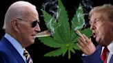 Cannabis Insiders Debate Smoking With Biden Or Trump