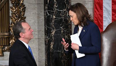Kamala Harris' VP choice likely won't be driven by 'chemistry' but by who can best help the ticket, a top Democrat says