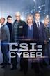 CSI: Cyber