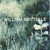 William Brittelle: Palisades