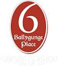 6 Ballygunge Place