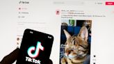 TikTok lanza una nueva versión que les pagará a los usuarios por ver videos