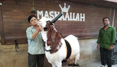 Ghulam-e-Mustafa: India's Heaviest Buck of Kota Breed Captivates Ahead of Bakrid Celebrations