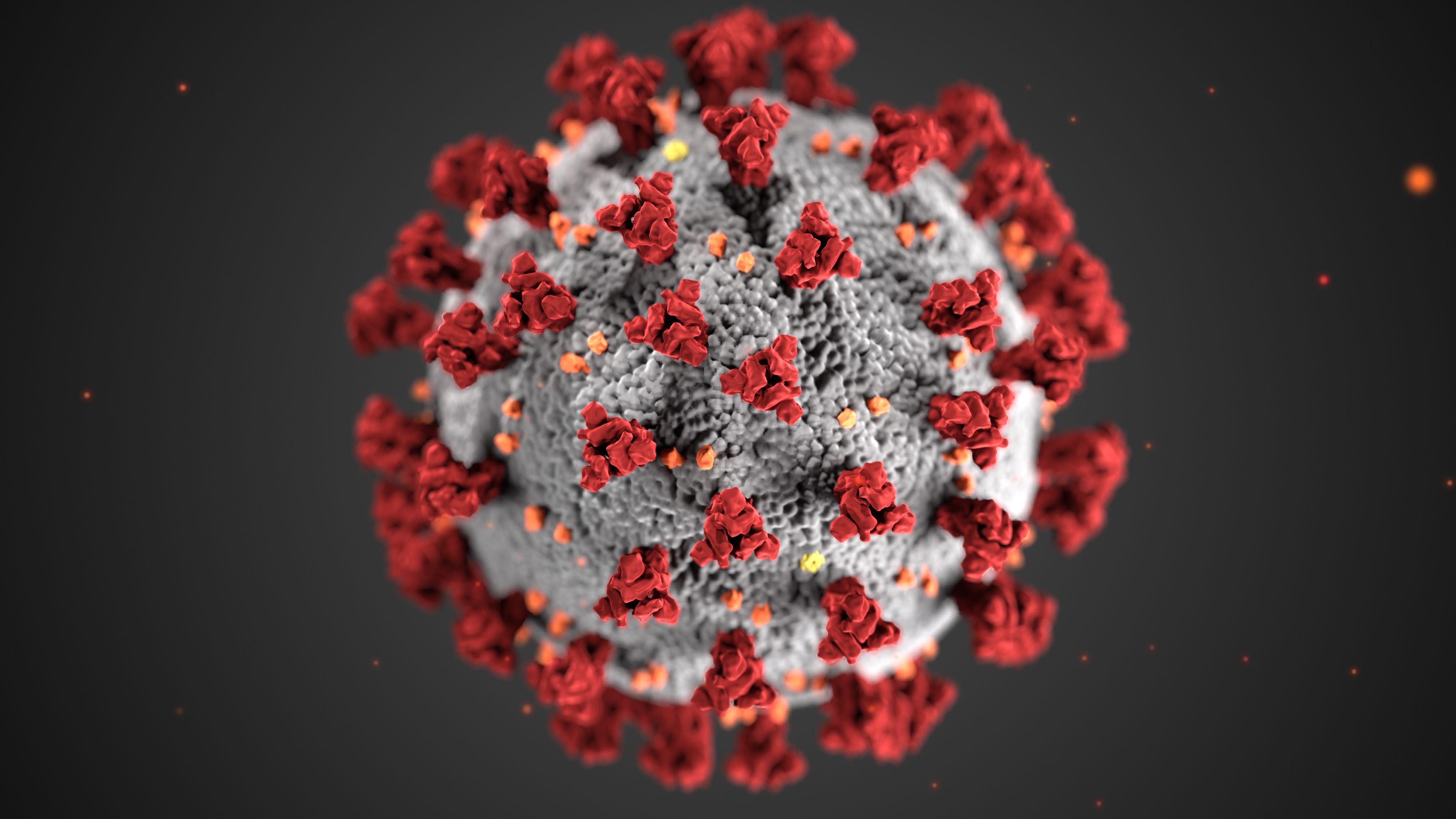 COVID-19 variant KP.3.1.1 becomes dominant in US: See latest CDC data