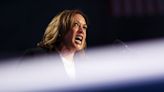 US Election: Advantage Harris, but can the Democratic nominee sway doubters?