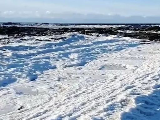 ¿El mar se congeló en Tierra del Fuego? Qué factores generan el fenómeno