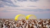 How Traceability Takes Cotton Supply Chains from Opaque to Transparent