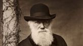 Fact Check: Persistent Rumor Claims Charles Darwin Renounced Theory of Evolution on His Deathbed. Here's the Truth