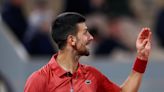 Serena Williams' ex-coach rips 'so ridiculous' umpire call against Novak Djokovic