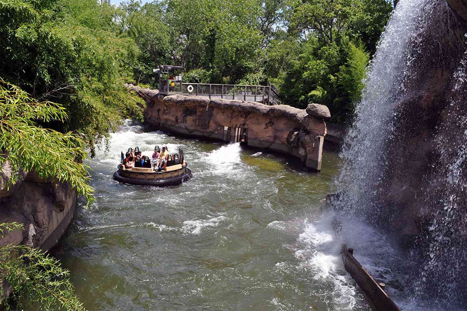 Watch riders jump off Six Flags raft ride into water after attraction gets stuck: 'Rough day'