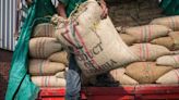 De Colombia a China: las exportaciones que más le dan plata al país