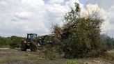 Florida farmers try to rebuild after damage caused by Hurricane Ian