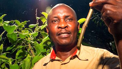 The Kenyan enthralled by the healing power of plants