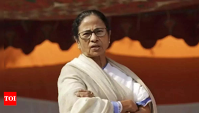 Bengal CM Mamata Banerjee challenges HC order asking her 'not to defame' governor C V Ananda Bose | India News - Times of India