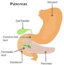 Pancreatitis