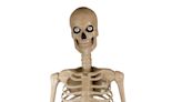 Halloween decor drop: Home Depot's 12-foot skeleton, 7-foot-long Skelly dog go on sale soon