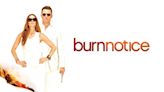 Burn Notice Season 4 Streaming: Watch & Stream Online via Hulu