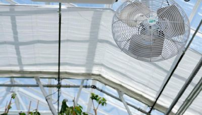 Climate Greenhouses Heat What We Know