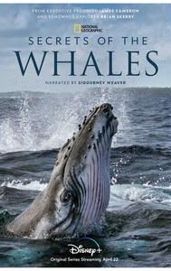 Secrets of the Whales