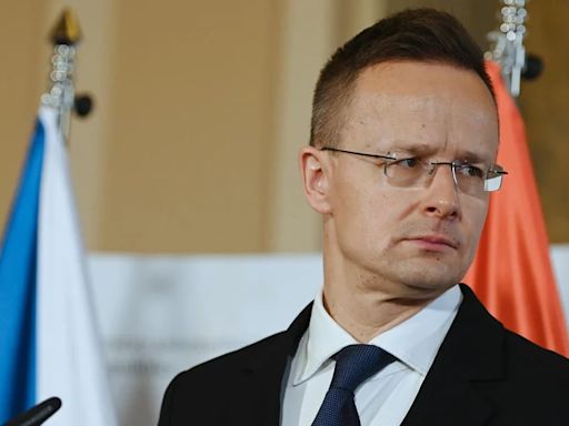 El ministro de Exteriores húngaro insta desde San Petersburgo a no "politizar" el suministro energético