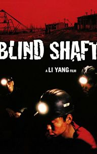 Blind Shaft