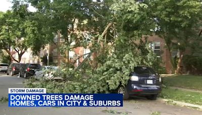 Chicago weather: Storms topple trees, knock out power across Chicago area