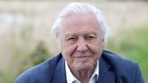 The one thing you should never call the legendary Sir David Attenborough
