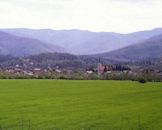 Vitez