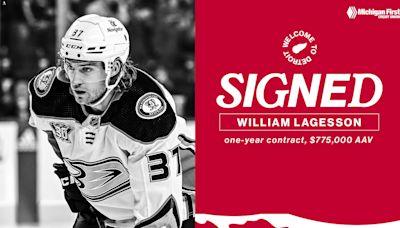 Red Wings sign defenseman William Lagesson to one-year contract | Detroit Red Wings