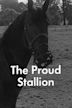 The Proud Stallion