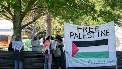 Pro-Palestine protesters erect encampment at UC Davis amid nationwide protests over war