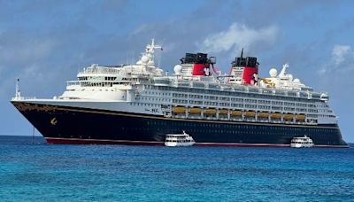 Japan's next big tourist craze: Disney cruises