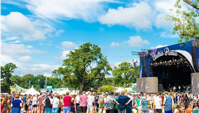 What you can expect from Electric Picnic 2024