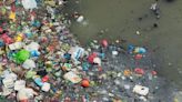 Plastic industry knew recycling was a farce for decades yet deceived the public, report reveals