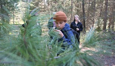 Nearly 200 Idaho students compete in Idaho State Forestry Contest