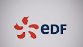 French National Assembly Adopts Text to Ban EDF Asset Sale