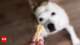 Understanding Pet Treat Ingredients: What They Offer, Why They Matter - Times of India