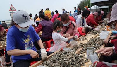 石蚵文化季千人剝蚵 古寧頭北山海堤4/27登場 | 蕃新聞