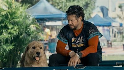 "Arthur der Große": Mark Wahlberg rennt mit dem Hund durch den Dschungel