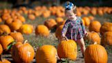 Get your fall fix with these 11 Kansas City area pumpkin patches