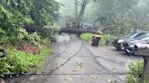 Damaging storm rips through Greenwood Lake (VIDEO) - Mid Hudson News