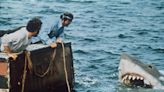 Steven Spielberg Regrets Impact ‘Jaws’ Had on Shark Population