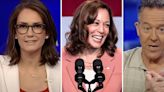 Kamala Harris' 'Brat' branding leaves Fox News hosts baffled