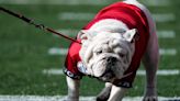 Georgia unveils English bulldog puppy Boom as new Uga mascot